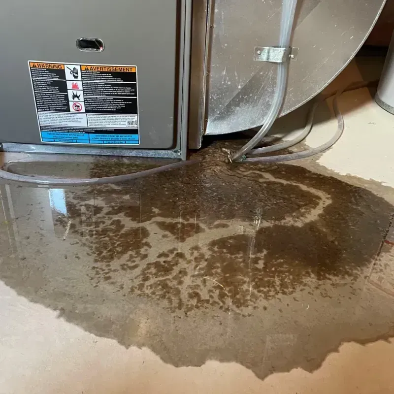 Appliance Leak Cleanup in South Gull Lake, MI